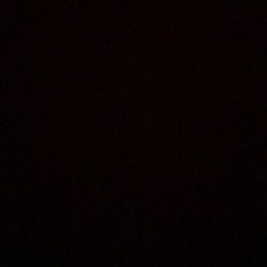 Meet your Posher, Donovan